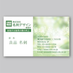 デザインカラー名刺（片面）Green-Shine〈100枚〉送料無料｜meiscene