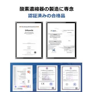 酸素濃縮器 酸素発生器 家庭用 10L大流量 ...の詳細画像2