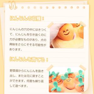 犬用おもちゃ 色 オレンジ系 犬用品 ペット用品 生き物 通販 Yahoo ショッピング