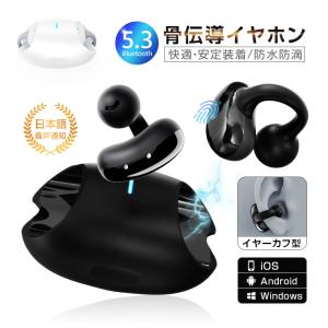 Apple AirPods Pro 第1世代 MWP22J/A 動作○ 付属完備 Apple AirPods