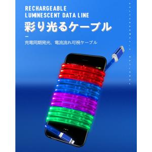 USB Type-Cケーブル iPhone18...の詳細画像2