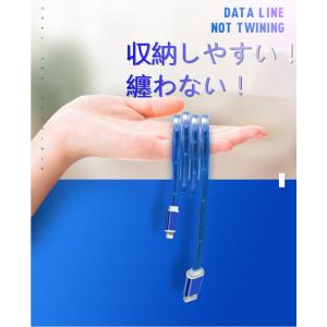 USB Type-Cケーブル iPhone18...の詳細画像4