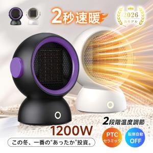 CORONA（コロナ） FF式 石油暖房機 スペースネオミニ FF-SG4218M-W (D