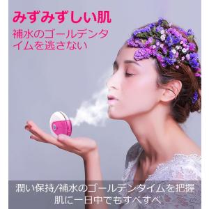 フェイススチーマー ナノスプレー 補水 水分補...の詳細画像3