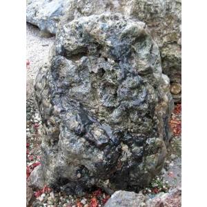 幸太郎石 銘石 幸太郎 北海道 庭石 和風 石庭 景石 n-kur2011-133 日本 庭園