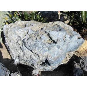 北海道 幸太郎石 庭石 銘石 幸太郎 和風 石...の詳細画像4