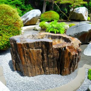 つくばい 手水鉢 水鉢 大きい 木化石 珪化木...の詳細画像2