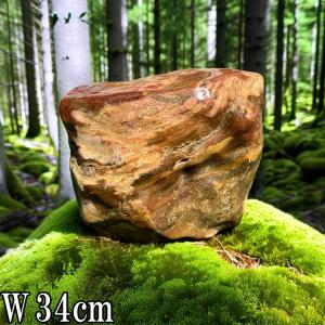 羽茂五色石 磨き 景石 鑑賞石 新潟 水石 希少 パワーストーン 飾り石 大きい 特大 庭石 天然石 和風 和 庭園 日本庭園 置物 オブジェ 縁側 玄関 入口 庭づくり