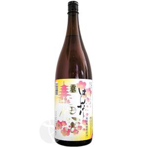 リキュール｜ 天吹龍王 大吟醸梅仕込梅酒 500ml 化粧箱入り あまぶき
