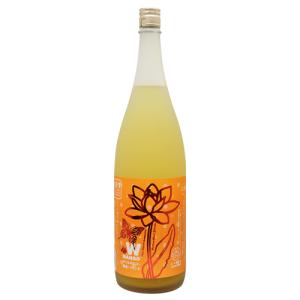 リキュール｜ 天吹龍王 大吟醸梅仕込梅酒 500ml 化粧箱入り あまぶき
