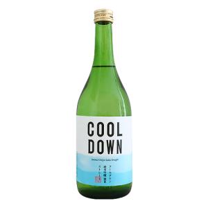 雑賀 COOL DOWN 純米吟醸 Straight 原酒 720ml さいか クールダウン ストレート 九重雑賀