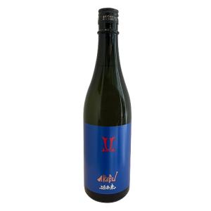 予約期間7/6〜8/2 出荷8/3〜| AKABU 酒未来 720ml あかぶ 赤武酒造 お中元ギフト