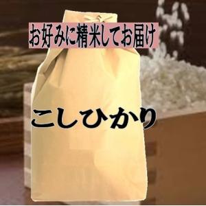 新米　玄米　10ｋｇ　高知県産　コシヒカリ　こしひかり　米　令和6年産　お米　10ｋｇ　お好みに精米してお届け【送料無料　一部除く】