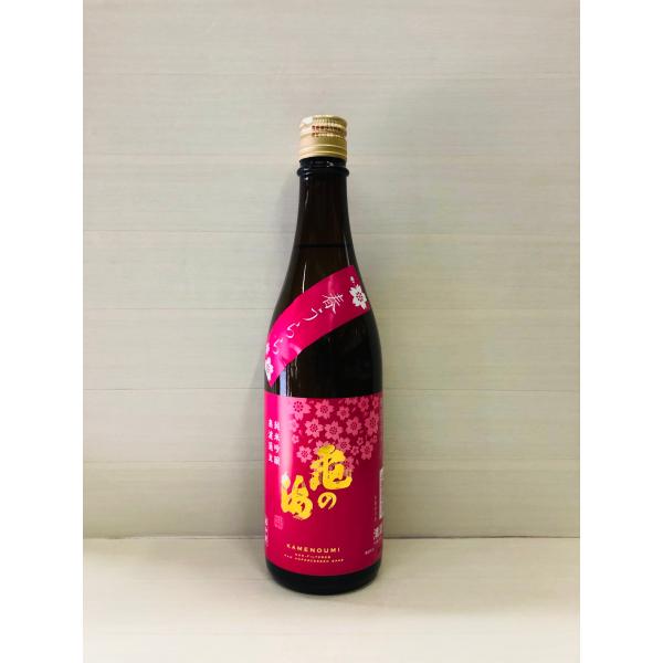 亀の海　春うらら　純米吟醸　無濾過生　720ml