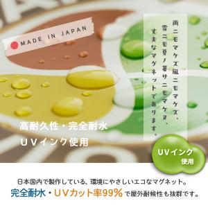 メール便送料無料 高齢者マーク マグネット 高...の詳細画像4