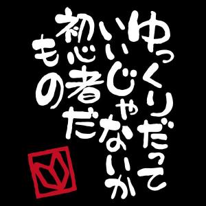 初心者だもの カッティングステッカー 初心者マーク わかばマーク ビギナー 若葉マーク ゆっくり走ります （カッティング白文字/初心者だもの）