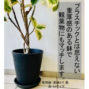 植木鉢 プラ鉢 セラアート 長鉢 6寸の詳細画像4