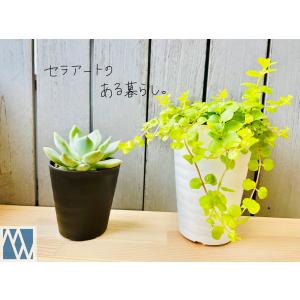 植木鉢 プラ鉢 セラアート 長鉢 4寸 5鉢セ...の詳細画像5