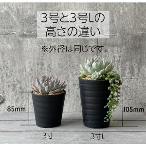 植木鉢 3号 10個セット 多肉植物 サボテン...の詳細画像4