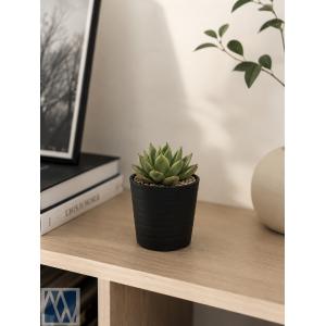 植木鉢 3号 10個セット 多肉植物 サボテン...の詳細画像5