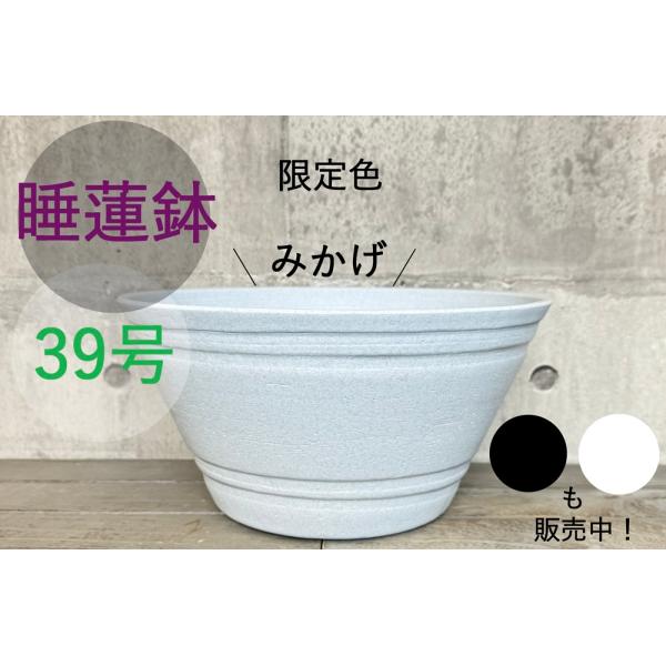 睡蓮鉢（メダカ鉢）プラスチック製　39号
