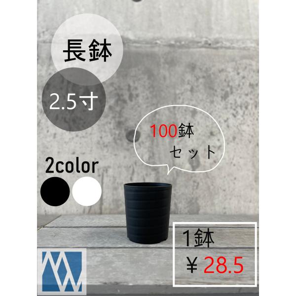 植木鉢　プラ鉢　セラアート　長鉢　2.5寸　100鉢セット