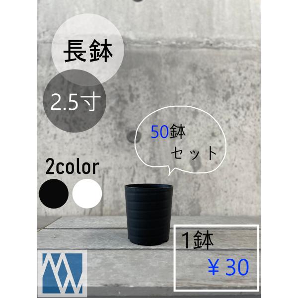 植木鉢　プラ鉢　セラアート　長鉢　2.5寸　50鉢セット