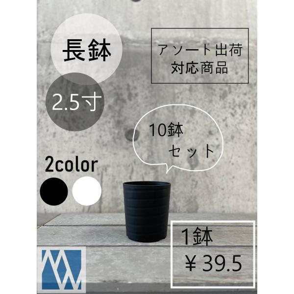 植木鉢　プラ鉢　セラアート　長鉢　2.5寸  10鉢セット　色アソート可