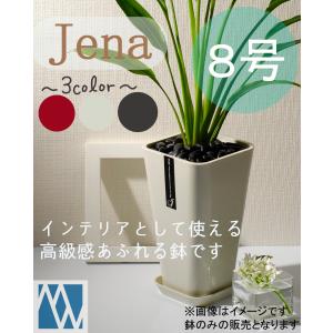 植木鉢 プラ鉢 セラアート 長鉢 3寸 50鉢セット : MEIWACO Yahoo
