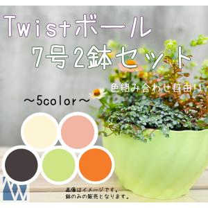 植木鉢 プラ鉢 ボール鉢 色組み合わせ自由！Twistボール 8号 2鉢セット