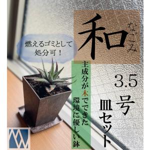 睡蓮鉢（メダカ鉢）プラスチック製 39号 : MEIWACO Yahoo!ショップ