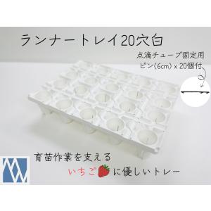 P5倍）丸三産業 すくすくトレイ 24穴 20枚 : 買援隊ヤフー店 - 通販