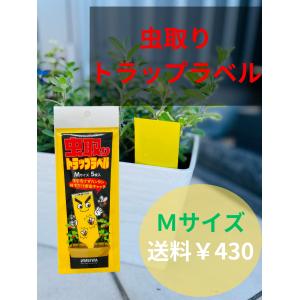 植木鉢 プラ鉢 セラアート 平鉢 15号 5鉢セット 色アソート可