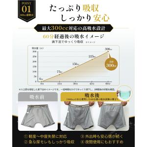 お得2色2枚セット 失禁パンツ 300cc 超...の詳細画像4