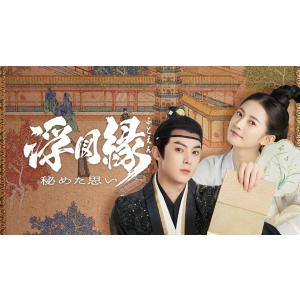 日本語字幕 中国ドラマ 華ドラ「浮図縁〜秘めた思い〜」DVD Blu-ray BOX 全話収録