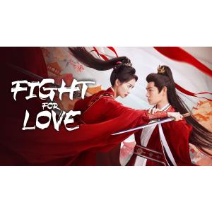 日本語字幕無し 中国ドラマ 華ドラ「山河枕」DVD Blu-ray BOX 全話収録