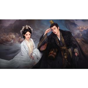 日本語字幕無し 中国ドラマ 華ドラ「鳳凰台上」DVD Blu-ray BOX 全話収録