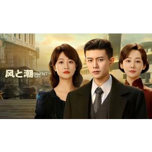 日本語字幕 中国ドラマ 華ドラ「風と潮」DVD Blu-ray BOX 全話収録