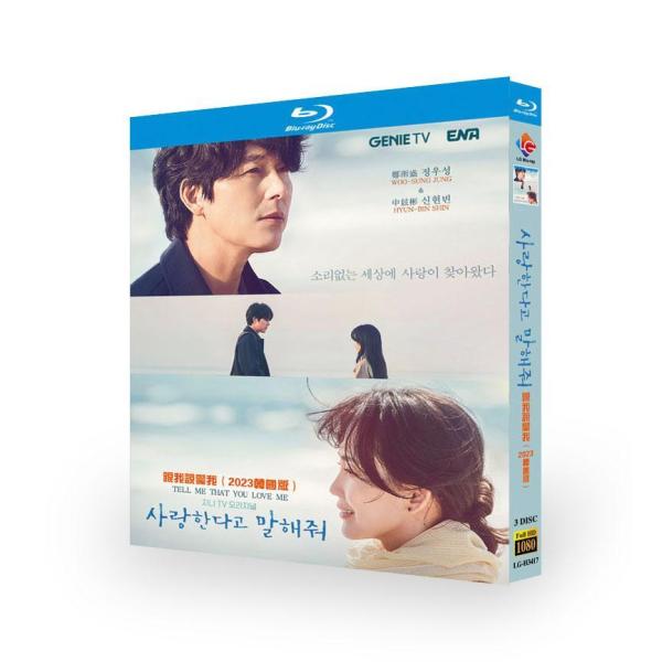 日本語字幕あり 韓国ドラマ「愛していると言ってくれ」Blu-ray 全話収録