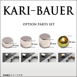 カリバウアー　オプションパーツセット