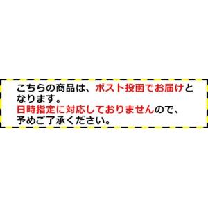 カリバウアー オプションパーツセットの詳細画像1