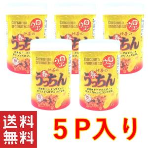 沖縄 健康 ウコン 春うっちん粉容器入100g×5個セット 仲善｜mejapon