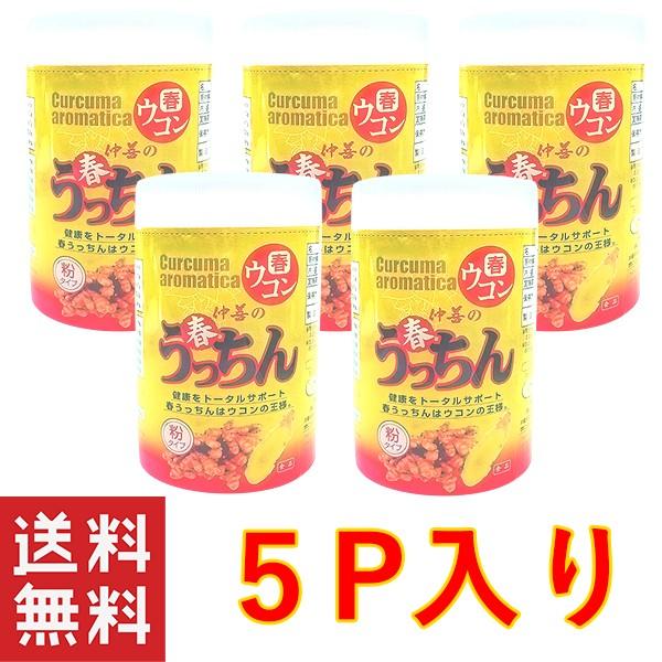 沖縄 健康 ウコン 春うっちん粉容器入100g×5個セット 仲善