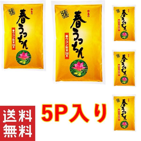 ウコン サプリ 粉 沖縄 お土産 健康 春うっちん粉袋入200g×5個セット 仲善