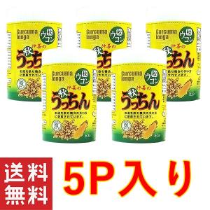 沖縄 健康 ウコン 秋うっちん粉容器入100g×５個セット 仲善｜mejapon