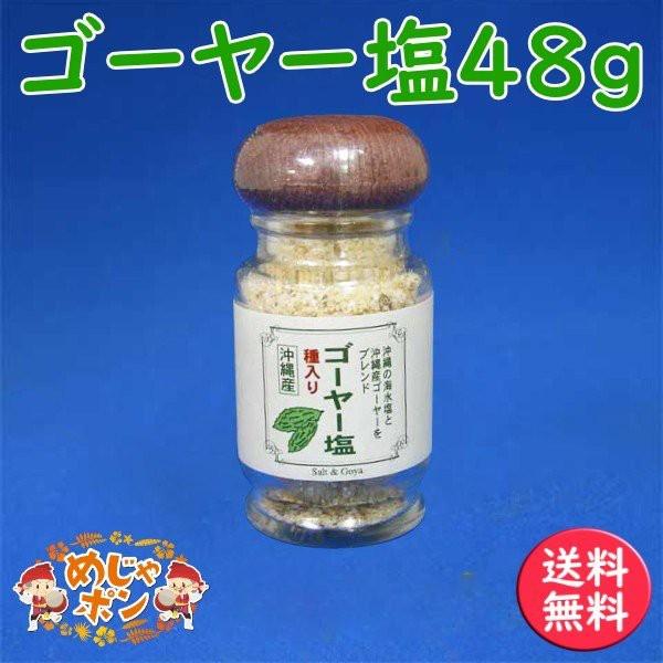 ゴーヤー塩48g×1個 沖縄産 ゴーヤー 塩 調味料