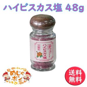 ハイビスカス塩48g×1本 沖縄産 塩 調味料｜mejapon