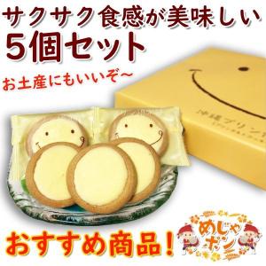 冬季限定販売 ポイント消化 お試し 送料無料 お菓子 沖縄 お土産 おすすめ  プリン倶楽部 バラ売り14ｇ×5個セット 南西産業