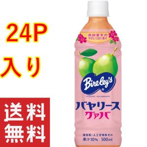 送料無料 沖縄バヤリース 1ケース 沖縄限定 ｜