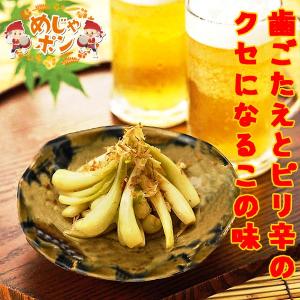 島らっきょう 漬物 おつまみ 沖縄県産品 おすすめ  うちなー自慢島らっきょう塩漬け30g×10袋
